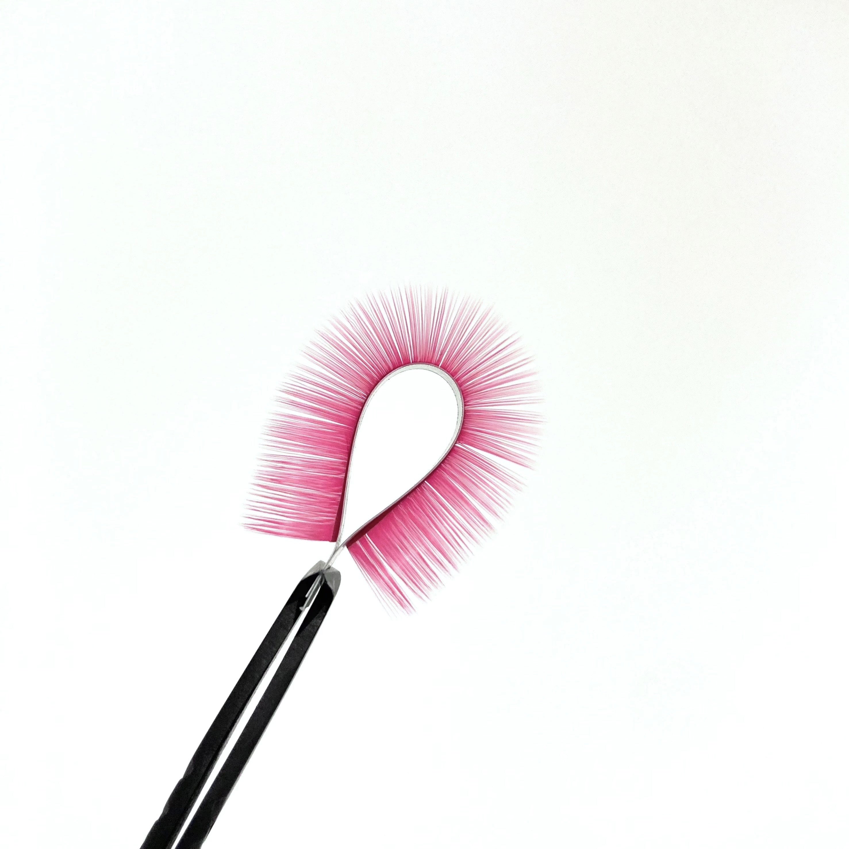 CANDY (CC,M,L)